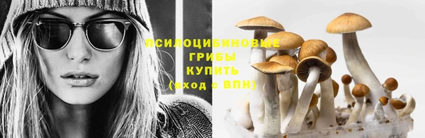 прущий лед Алексеевка