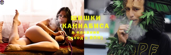 шишки Алзамай