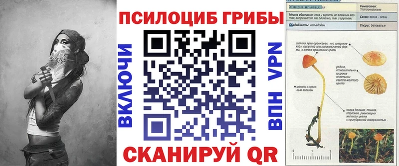 Псилоцибиновые грибы MAGIC MUSHROOMS  Когалым 