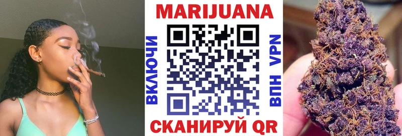 Конопля планчик Когалым